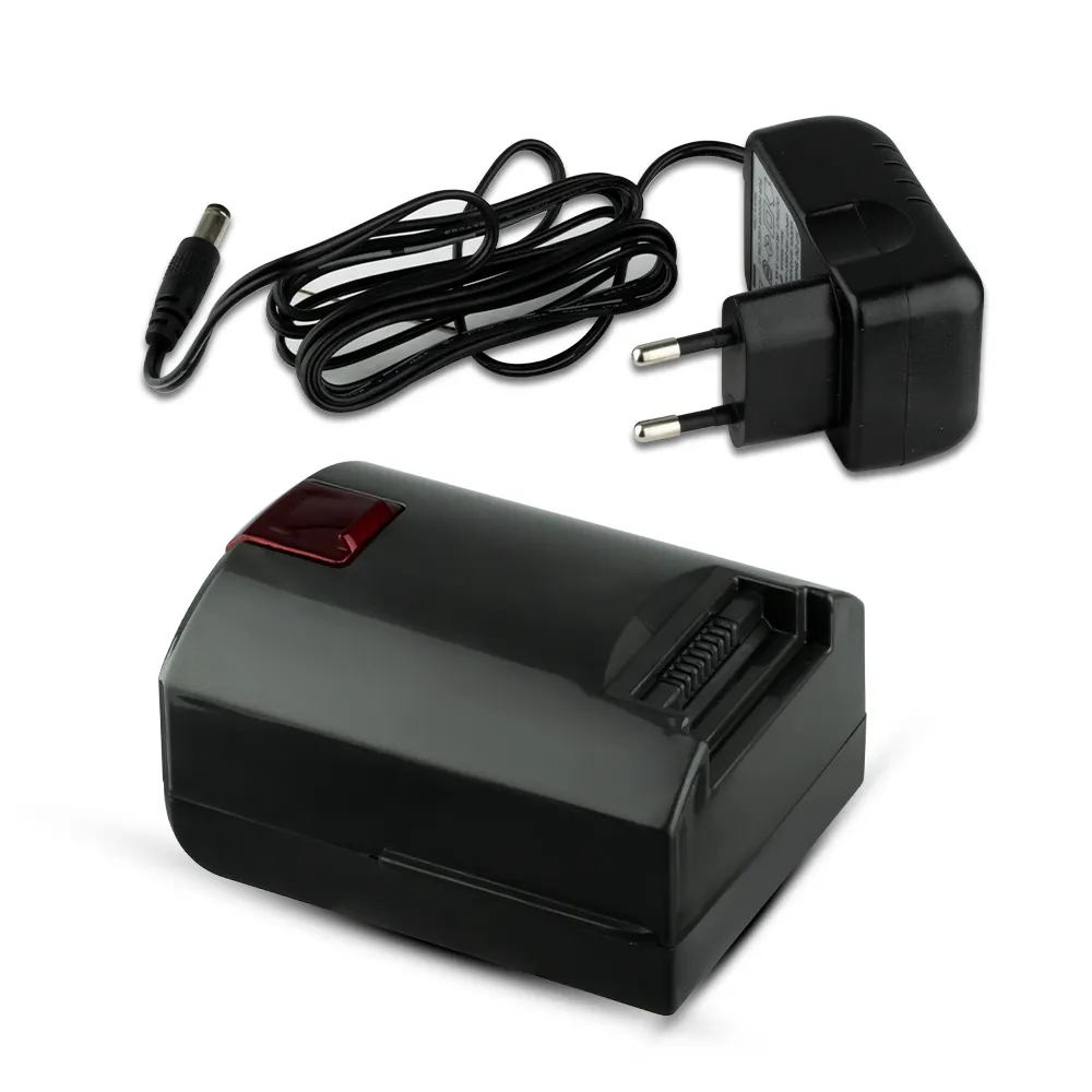 Aspirator Multifunctional 2 in 1 RAF 8667 Fara Sac, Aspirator de Mana, Capacitate 1.2 L, 100W